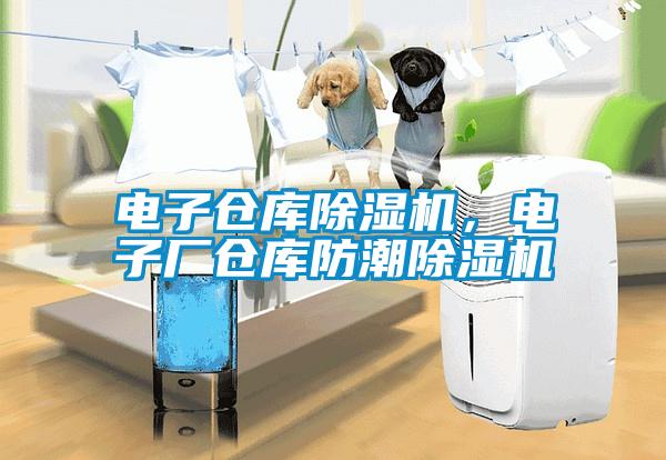 電子倉庫除濕機，電子廠倉庫防潮除濕機