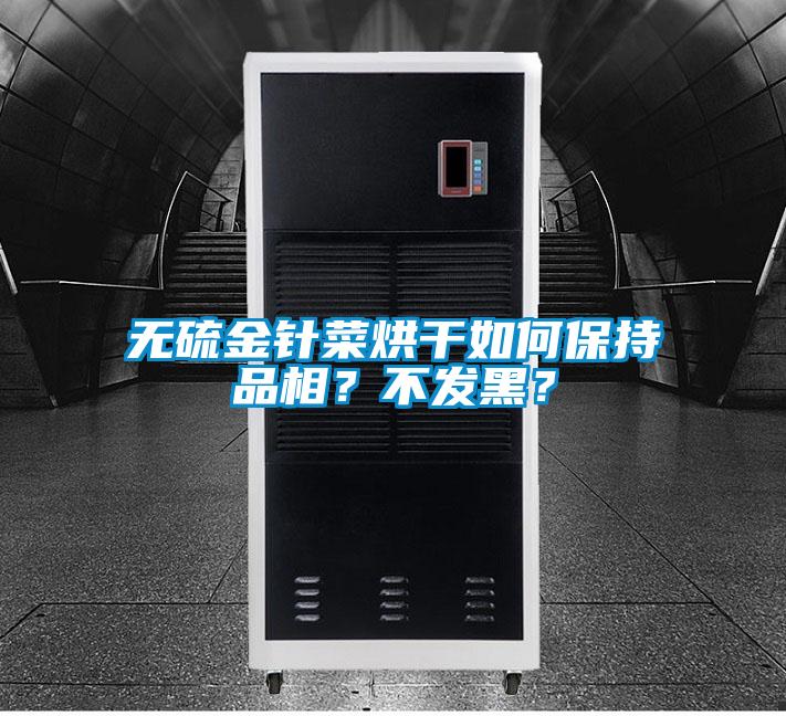 無硫金針菜烘干如何保持品相?不發(fā)黑?