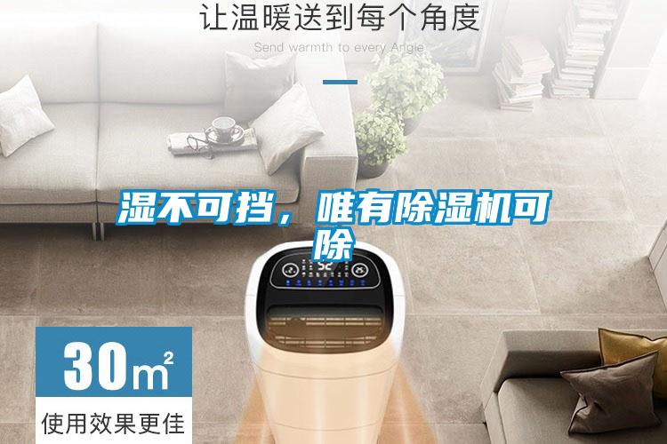 濕不可擋，唯有除濕機(jī)可除