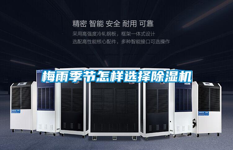 梅雨季節怎樣選擇除濕機