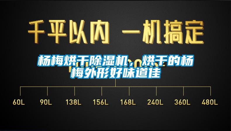 楊梅烘干除濕機，烘干的楊梅外形好味道佳