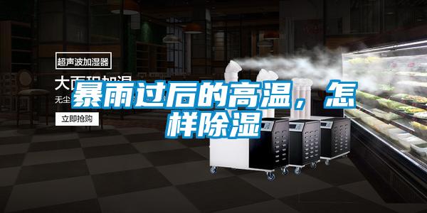 暴雨過后的高溫，怎樣除濕
