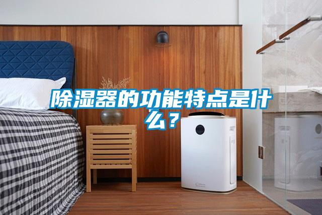 除濕器的功能特點是什么?