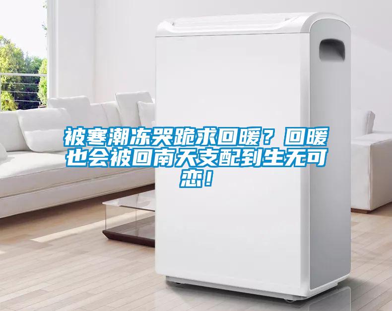 被寒潮凍哭跪求回暖？回暖也會被回南天支配到生無可戀！