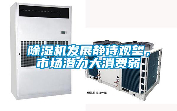 除濕機發展靜待觀望，市場潛力大消費弱