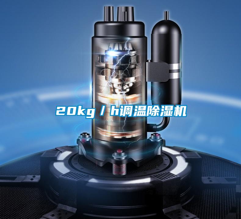 20kg/h調(diào)溫除濕機(jī)