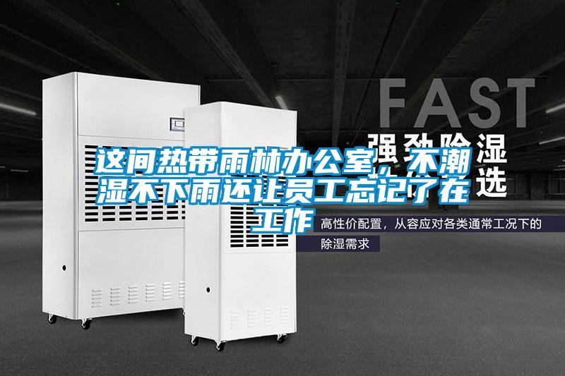 這間熱帶雨林辦公室,不潮濕不下雨還讓員工忘記了在工作