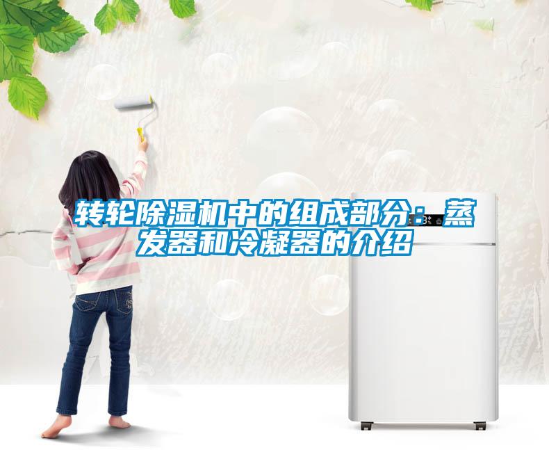 轉輪除濕機中的組成部分：蒸發器和冷凝器的介紹