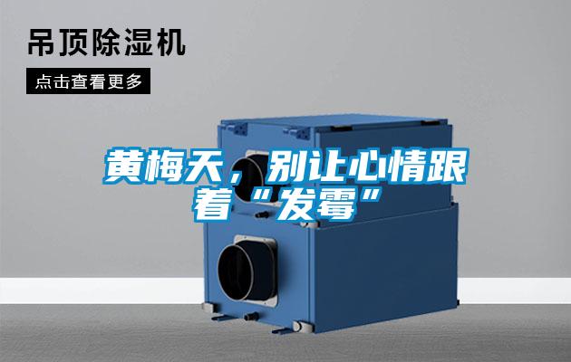 黃梅天,別讓心情跟著“發霉”