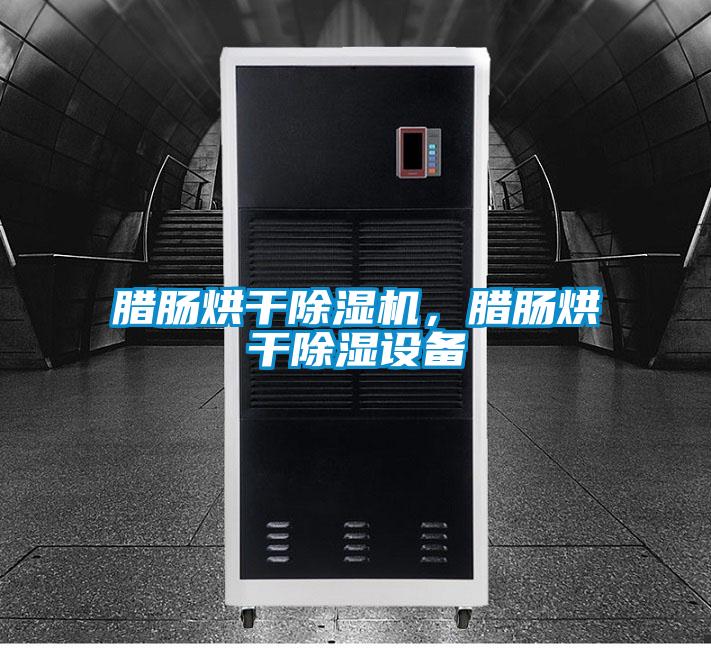 臘腸烘干除濕機(jī)，臘腸烘干除濕設(shè)備