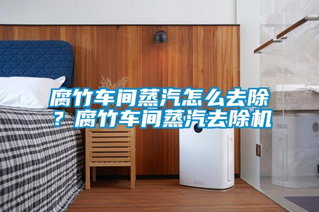 腐竹車間蒸汽怎么去除？腐竹車間蒸汽去除機