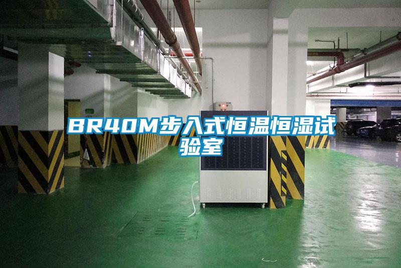 BR40M步入式恒溫恒濕試驗室