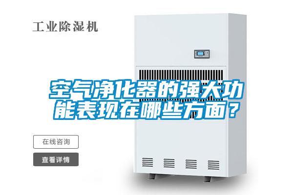 空氣凈化器的強大功能表現在哪些方面？