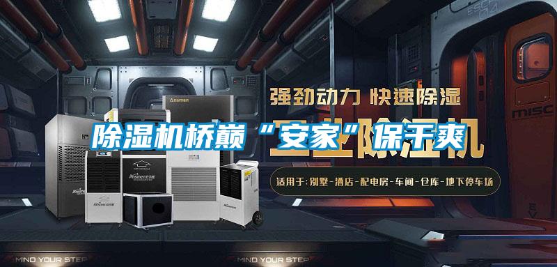 除濕機橋巔“安家”保干爽