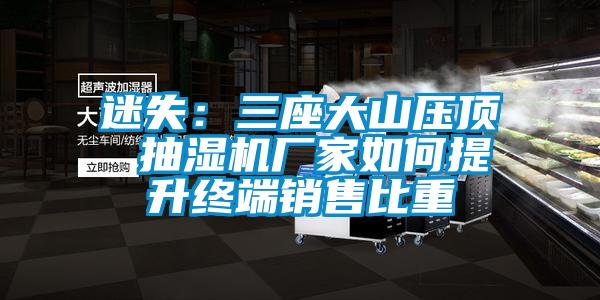 迷失：三座大山壓頂 抽濕機廠家如何提升終端銷售比重