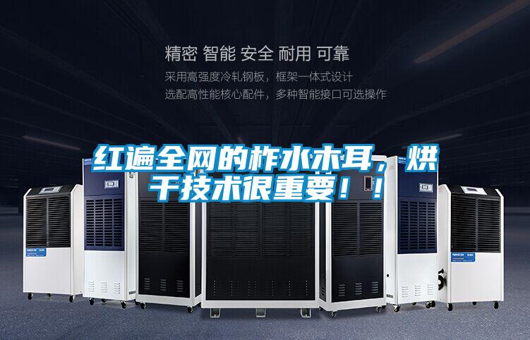 紅遍全網(wǎng)的柞水木耳，烘干技術很重要！！