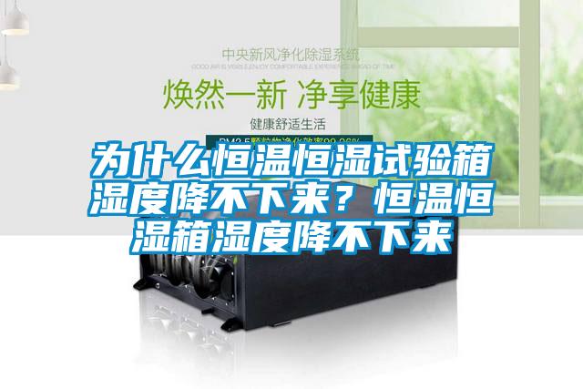 為什么恒溫恒濕試驗箱濕度降不下來？恒溫恒濕箱濕度降不下來