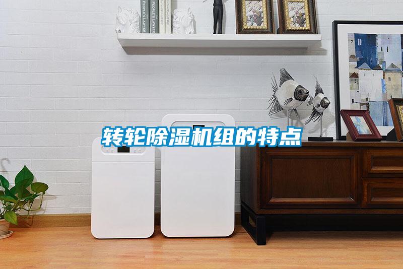 轉(zhuǎn)輪除濕機(jī)組的特點(diǎn)
