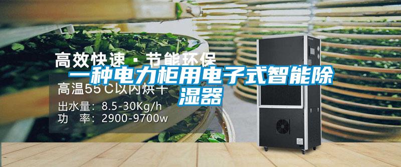 一種電力柜用電子式智能除濕器