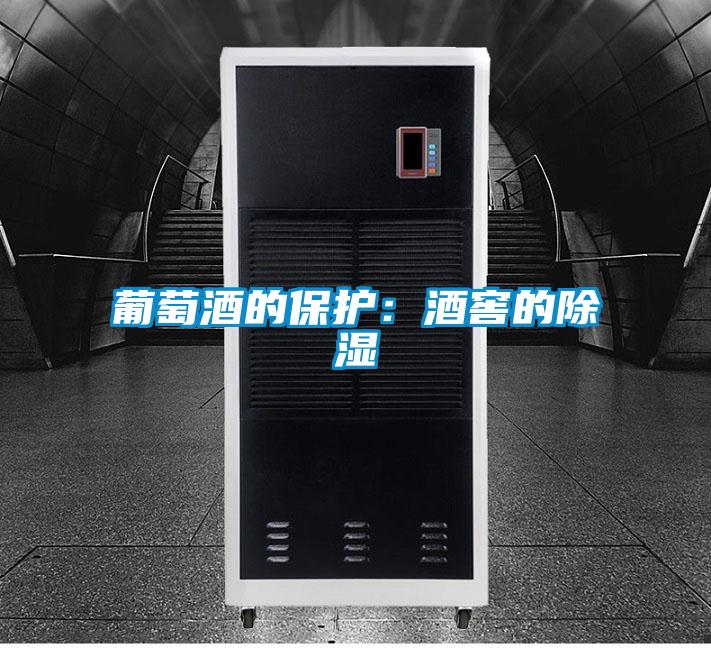 葡萄酒的保護:酒窖的除濕