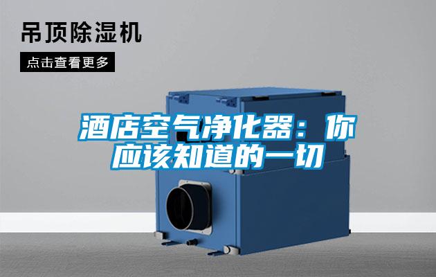 酒店空氣凈化器:你應該知道的一切