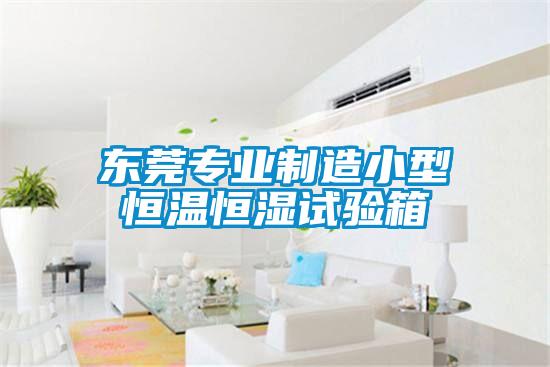 東莞專業(yè)制造小型恒溫恒濕試驗箱