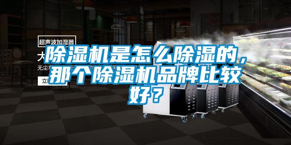 除濕機是怎么除濕的，那個除濕機品牌比較好？