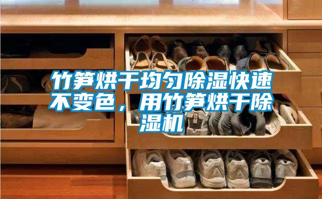 竹筍烘干均勻除濕快速不變色，用竹筍烘干除濕機