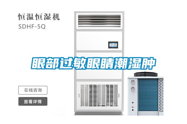 眼部過敏眼睛潮濕腫