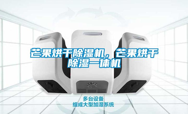 芒果烘干除濕機，芒果烘干除濕一體機