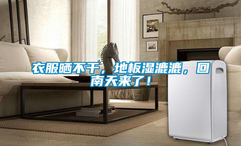 衣服曬不干，地板濕漉漉，回南天來了！