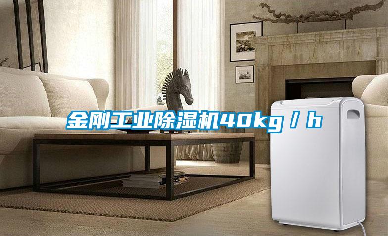 金剛工業(yè)除濕機40kg／h