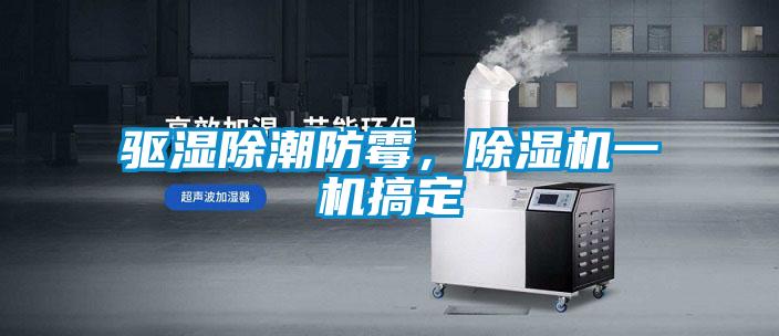 驅濕除潮防霉，除濕機一機搞定