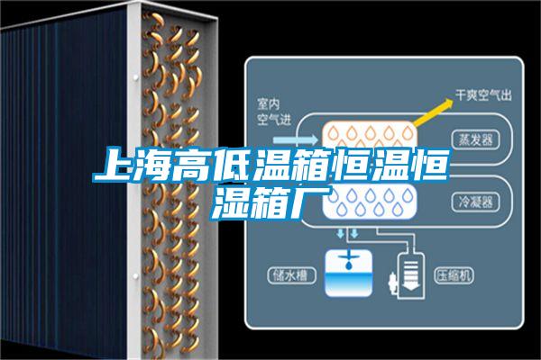 上海高低溫箱恒溫恒濕箱廠