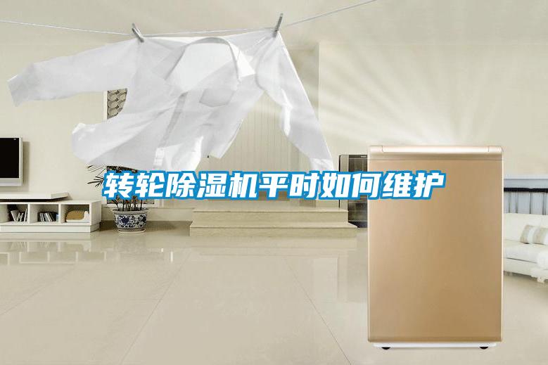 轉輪除濕機平時如何維護