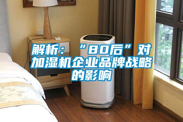 解析：“80后”對加濕機企業品牌戰略的影響