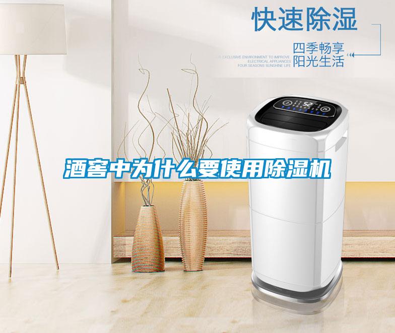 酒窖中為什么要使用除濕機(jī)