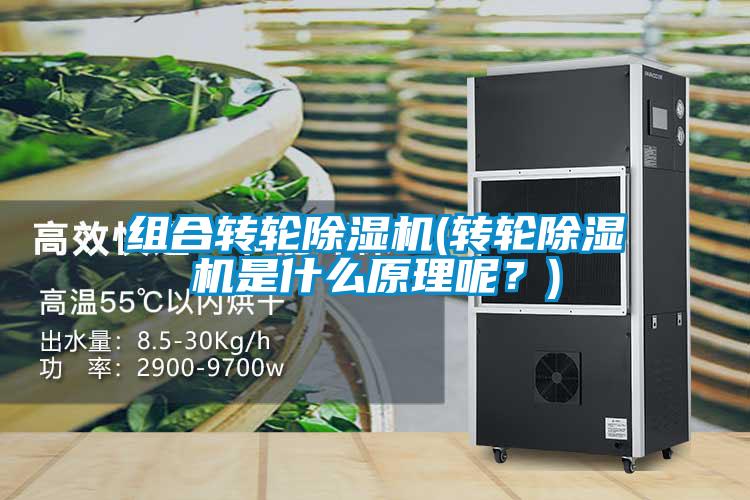 組合轉(zhuǎn)輪除濕機(jī)(轉(zhuǎn)輪除濕機(jī)是什么原理呢？)