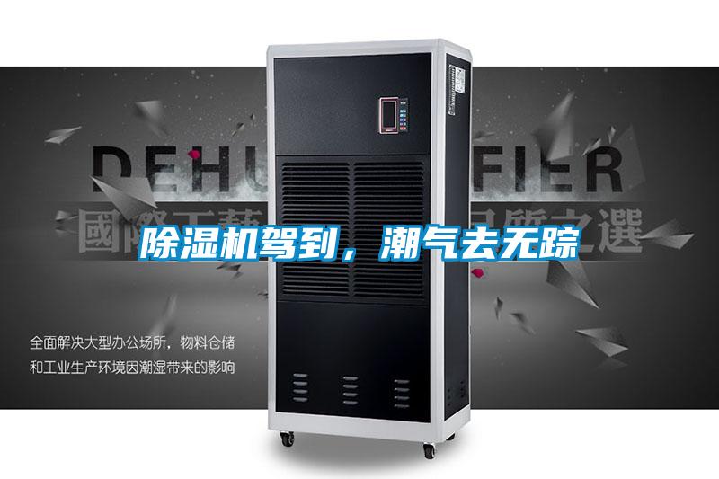 除濕機駕到，潮氣去無蹤