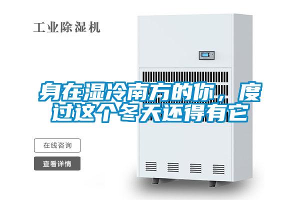 身在濕冷南方的你，度過這個冬天還得有它