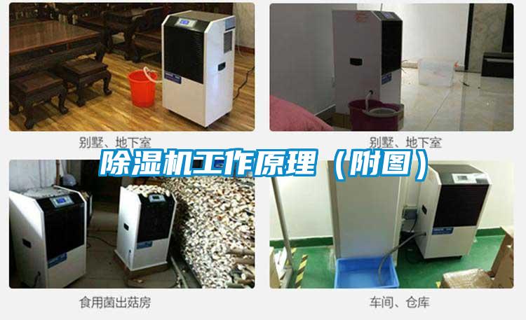 除濕機工作原理（附圖）