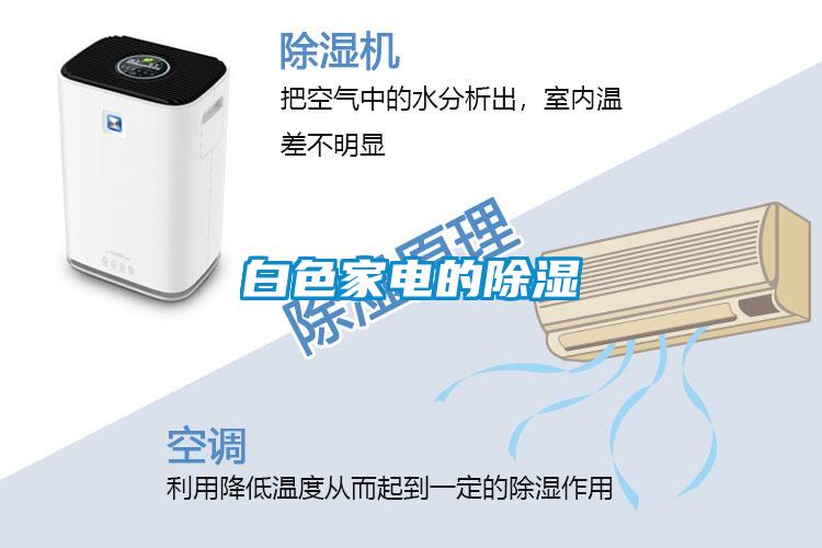 白色家電的除濕