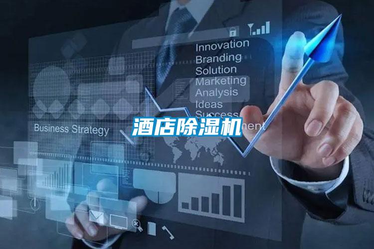 酒店除濕機(jī)