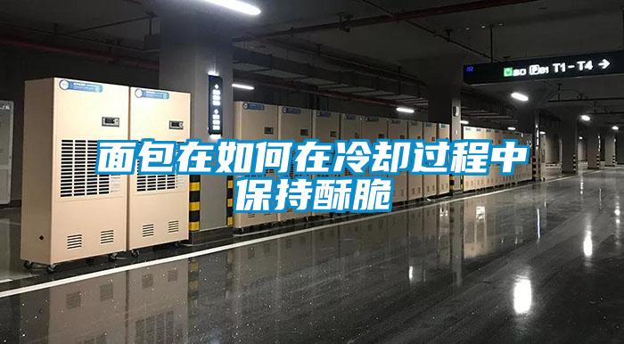 面包在如何在冷卻過程中保持酥脆