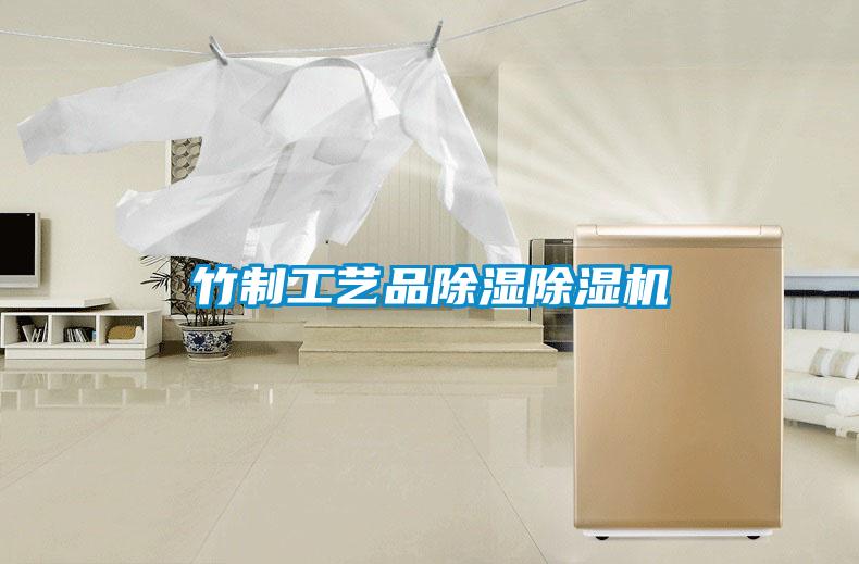 竹制工藝品除濕除濕機