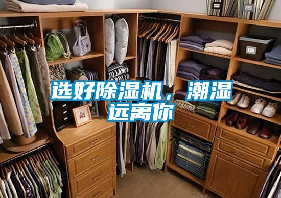 選好除濕機,潮濕遠離你