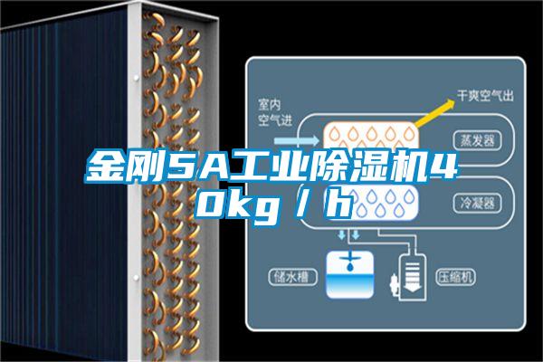 金剛5A工業除濕機40kg/h