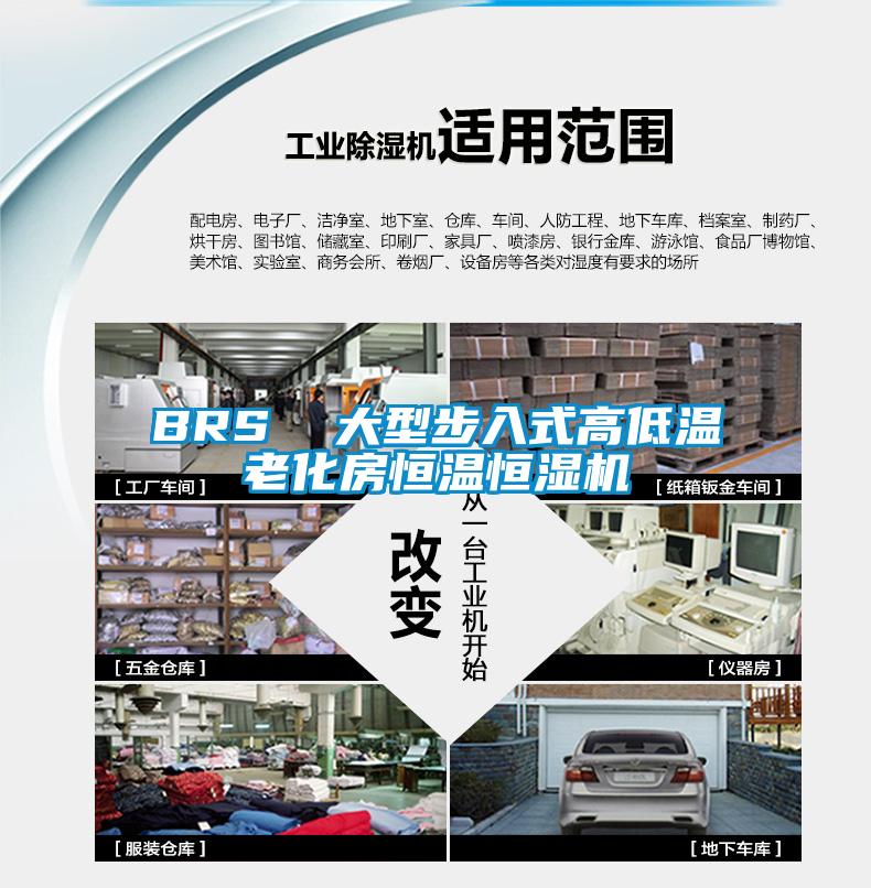BRS  大型步入式高低溫老化房恒溫恒濕機