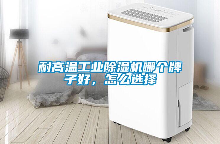 耐高溫工業(yè)除濕機(jī)哪個(gè)牌子好,怎么選擇