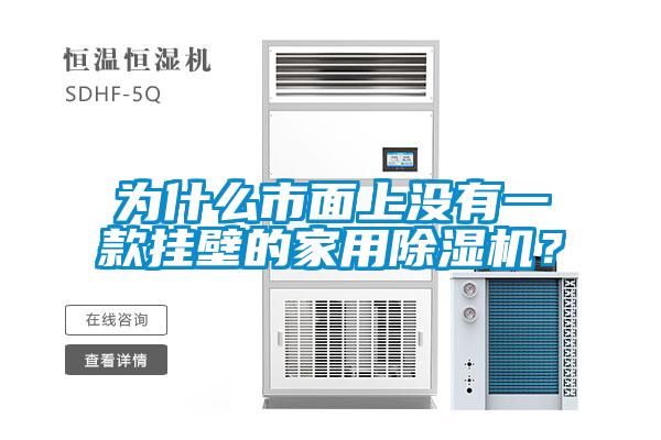 為什么市面上沒有一款掛壁的家用除濕機?